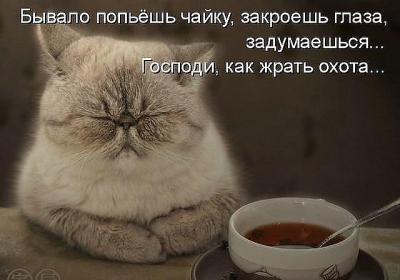 Прикрепленное изображение: y_d3f84129.jpg